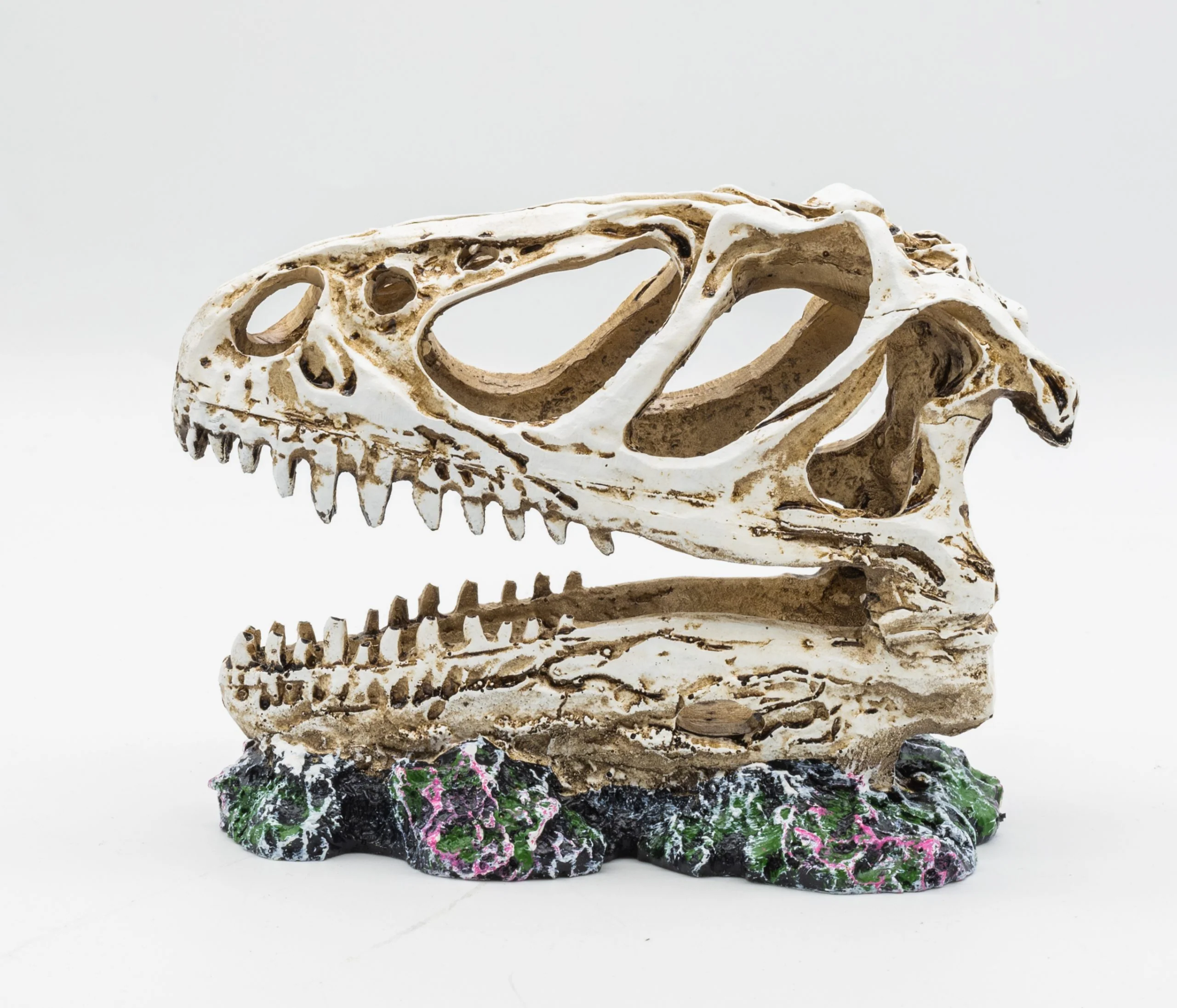 ProRep Allosaurus Skull 12.5x6x10cm