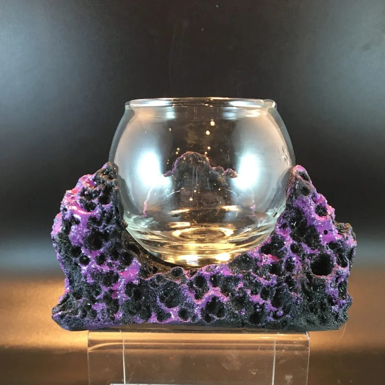 Anemone/Mushroom Sandbed Display - Image 2