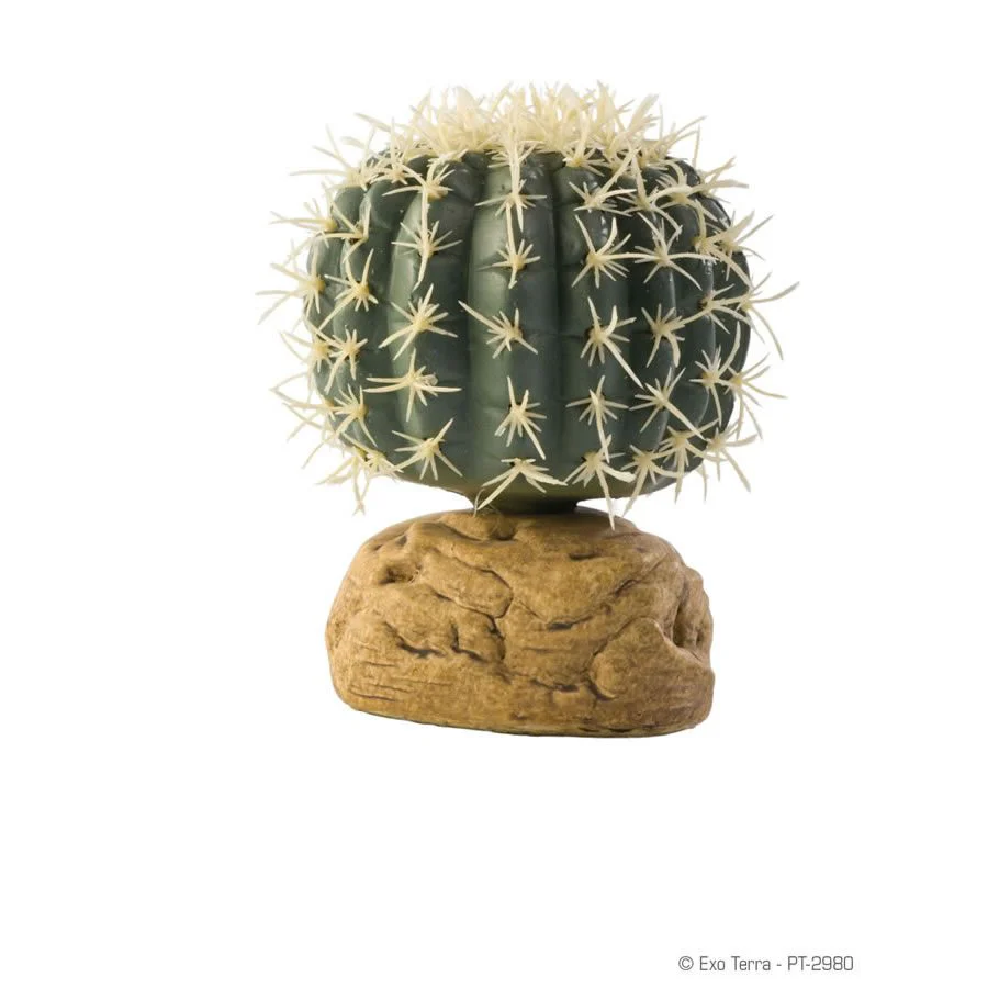 Exo-Terra Barrel Cactus - Small
