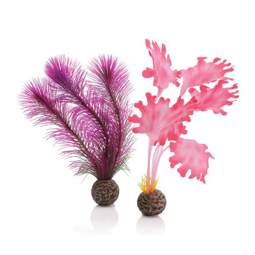 biOrb Plants & Decor Kelp set S pink