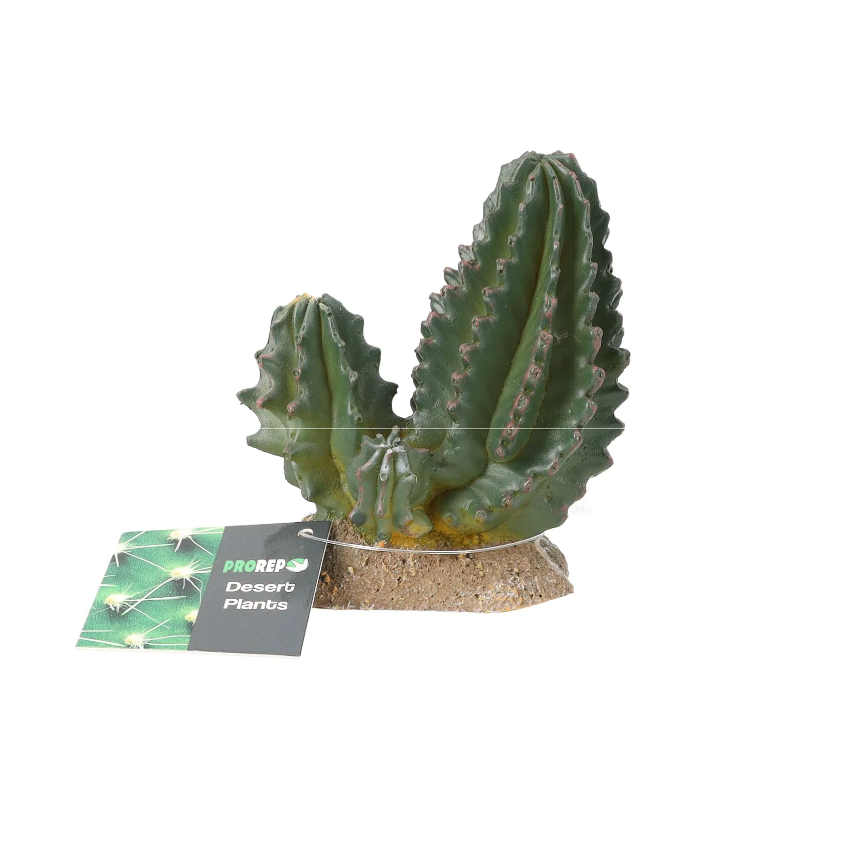 ProRep Cactus Group 9Ă—5.5x10cm