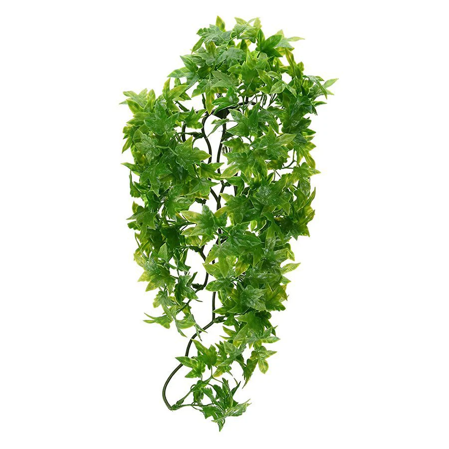 Zoo-Med Congo Ivy - Medium