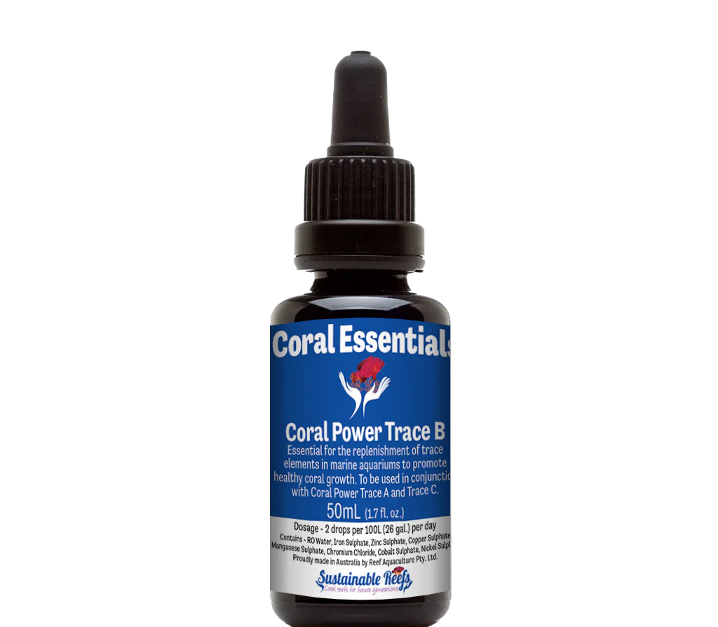 Coral Essentials Coral Power Trace B