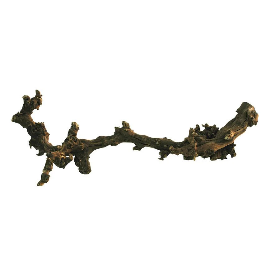 Lucky Reptile Dark Grapevine - Small