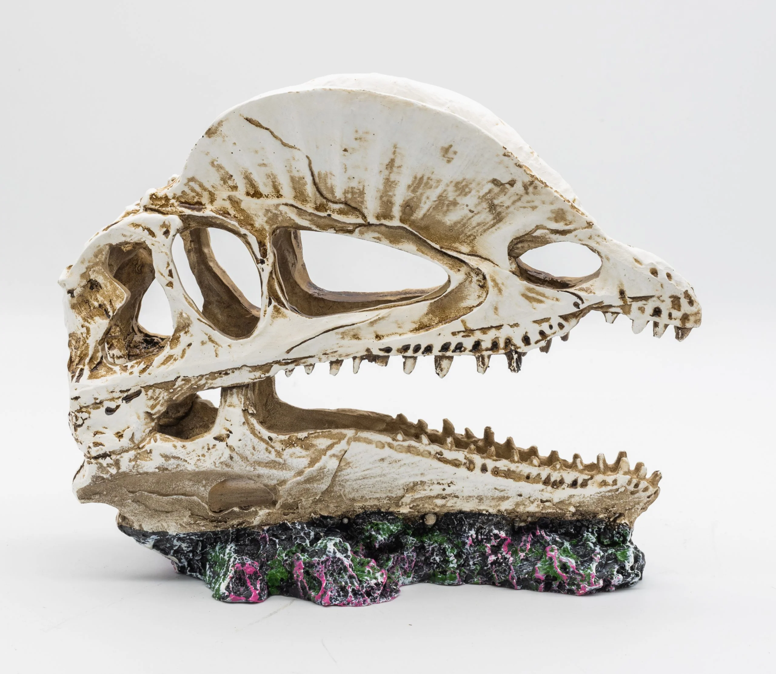 ProRep Dilophosaurus Skull 19x9x14cm