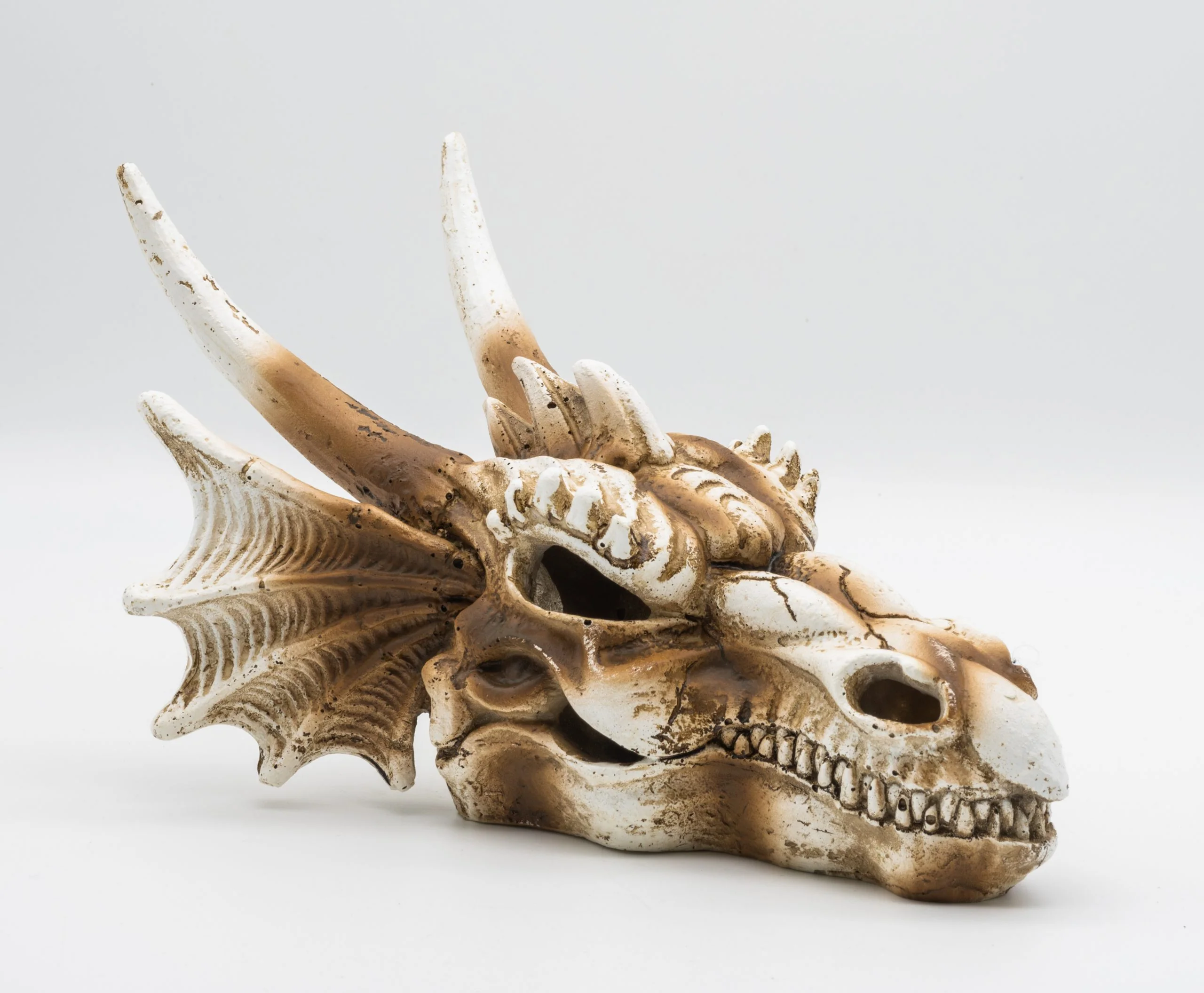 ProRep Dragon Skull - Medium 19.5×14.8×13.5cm