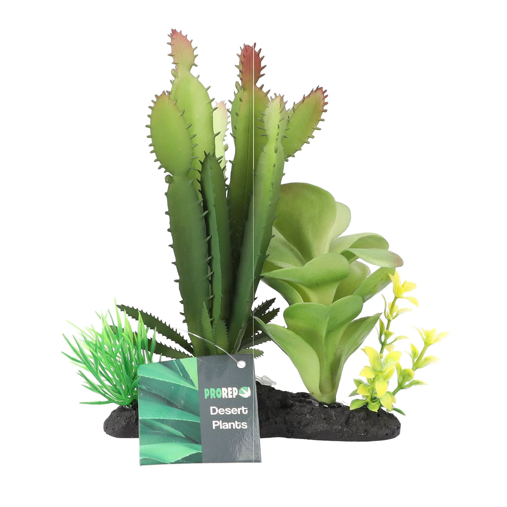 ProRep Euphorbia Plant on Log 15cm