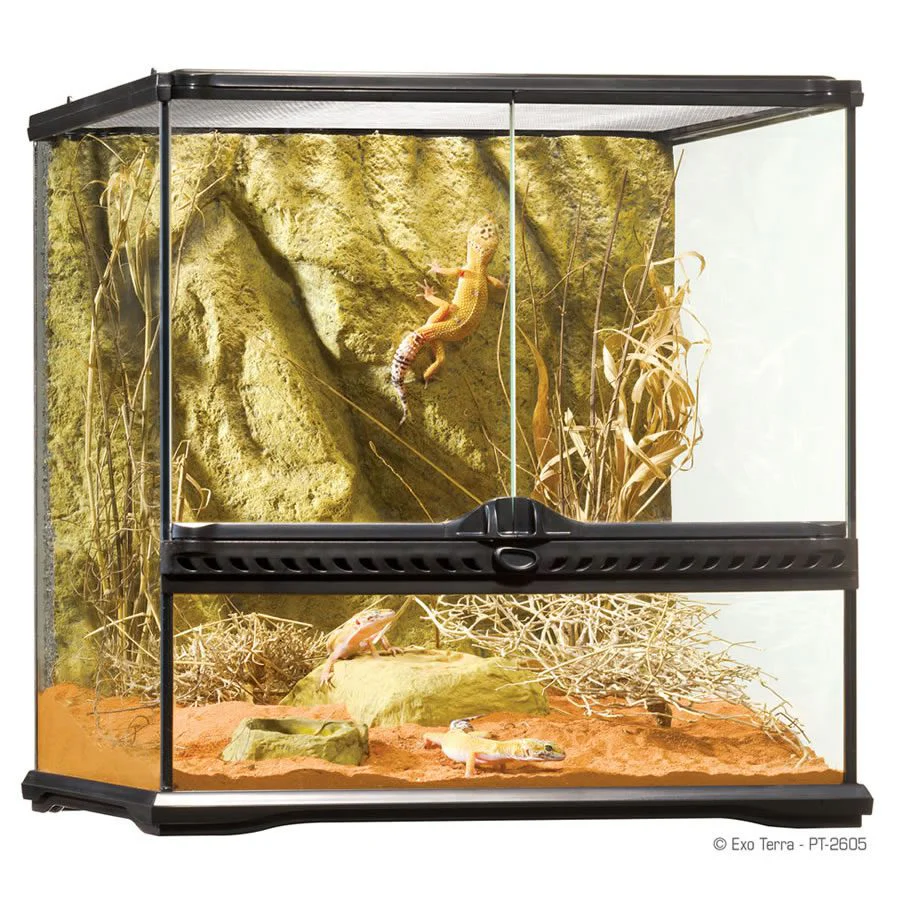Exo-Terra Terrarium Small/Wide 45x45x45cm