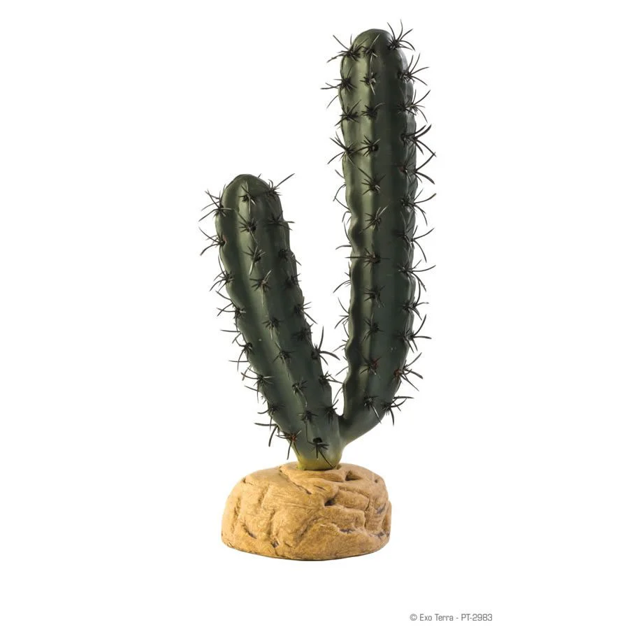 Exo-Terra Finger Cactus