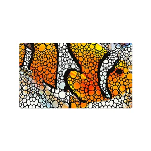 Flipper Clownfish Mat 45x75cm