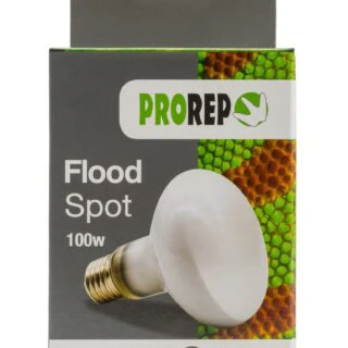 ProRep Flood Spot Lamp 100w ES