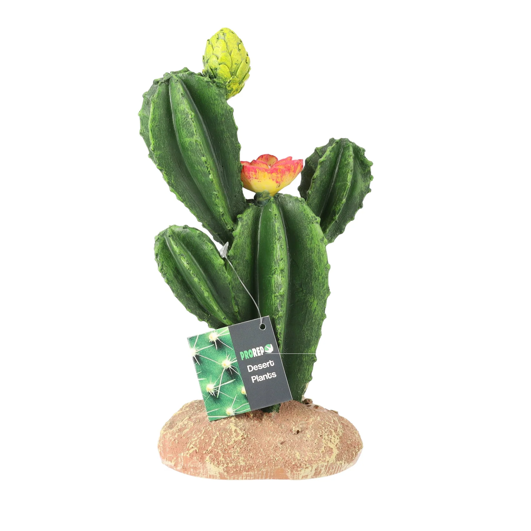 ProRep Flowering Cactus - Medium 16.5×10.5×22.5cm