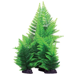Hugo Kamishi Broad Leaf Fern Green Aquarium Plant 40cm