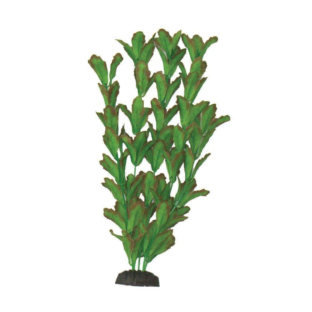 Hugo Kamishi - Rotundifolia Silk Aquascaping Aquarium Plants - Image 4