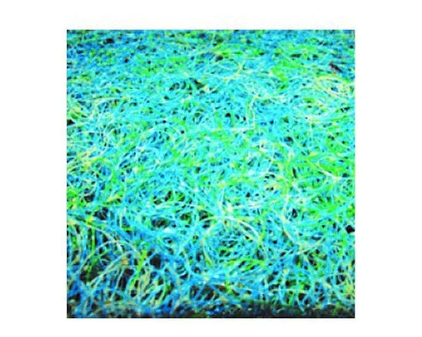 Japanese Mat (2M X 1M)