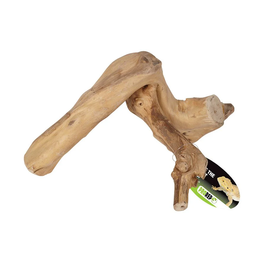 ProRep Java Reptile Branch - Small