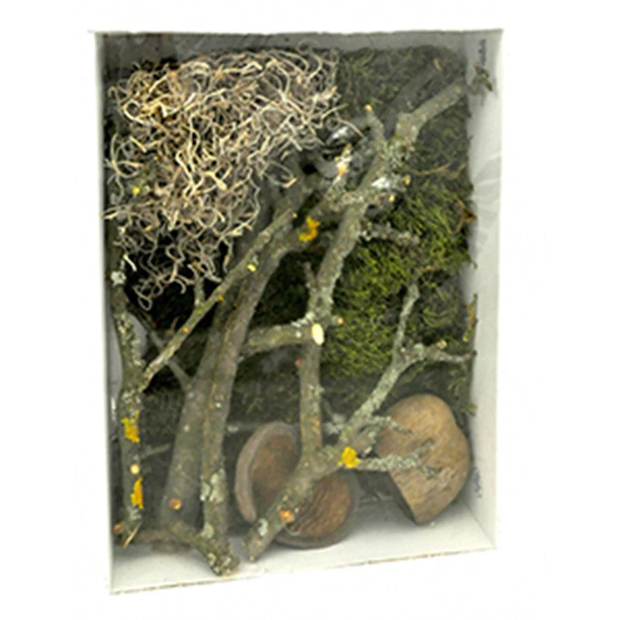Lucky Reptile Life Experience Decor - Jungle