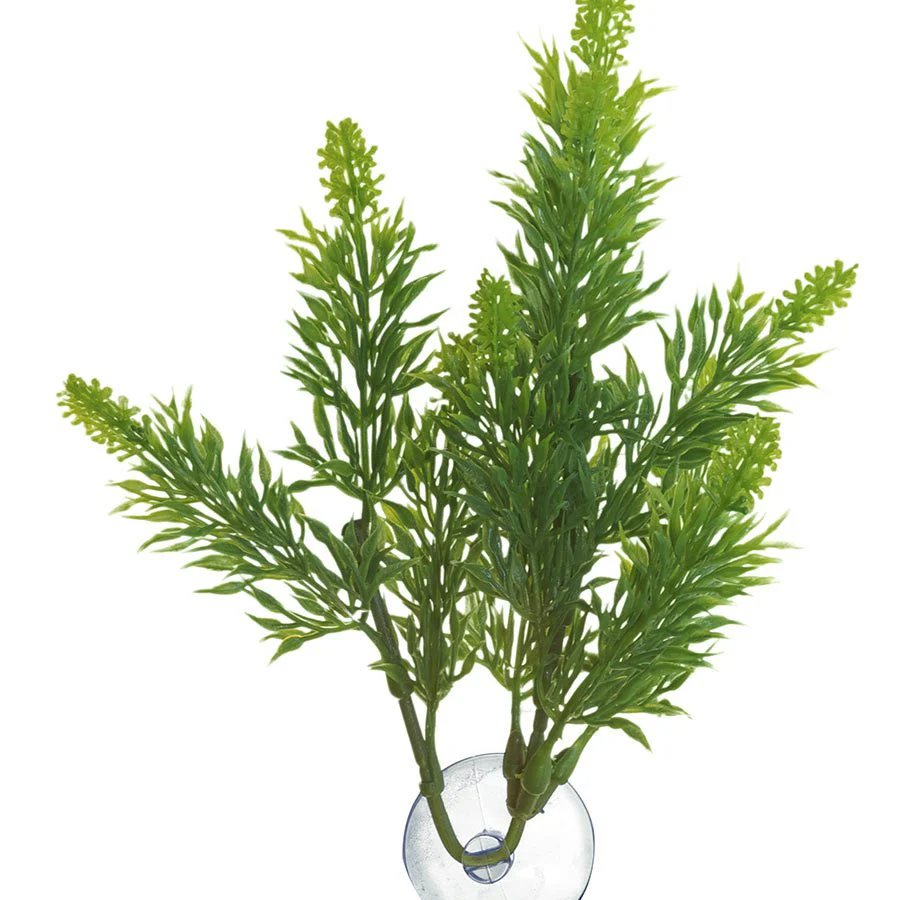 Zoo-Med Malaysian Fern - Medium