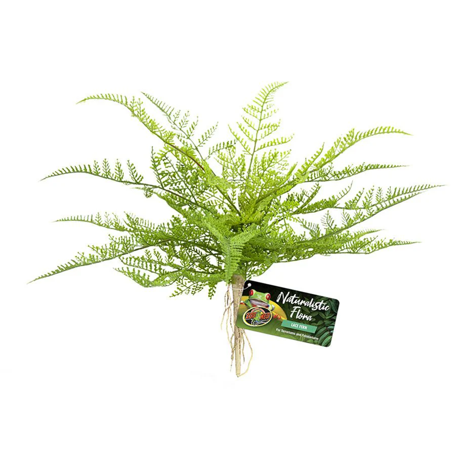 Zoo-Med Naturalistic Flora Lace Fern