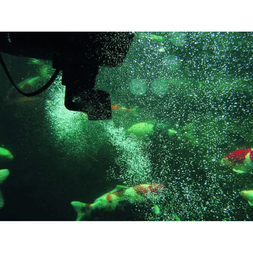 Oase SwimSkim 50 CWS - Image 3