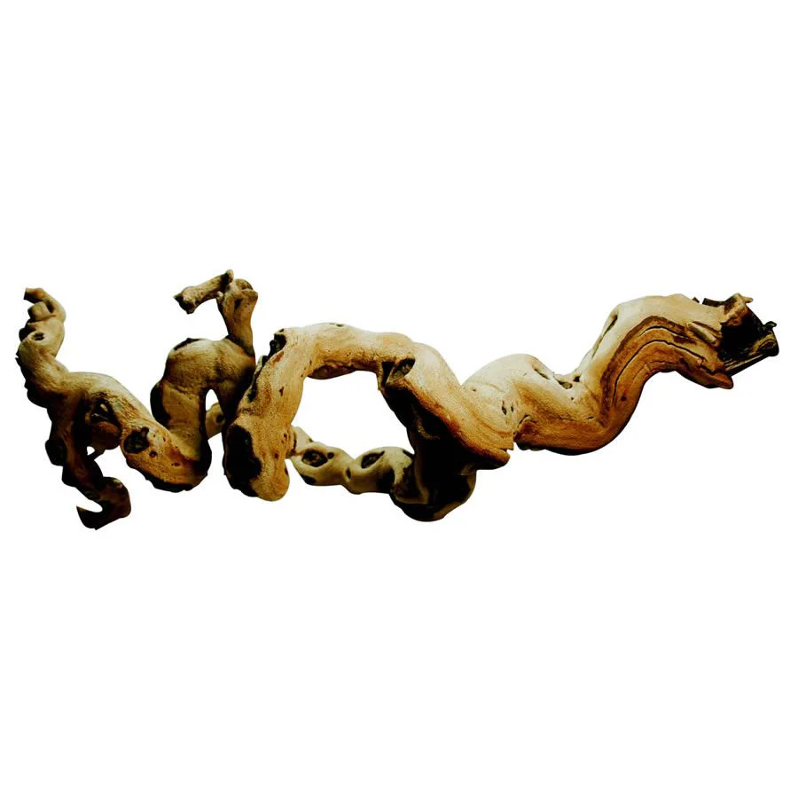Lucky Reptile Premium Grapevine - Medium