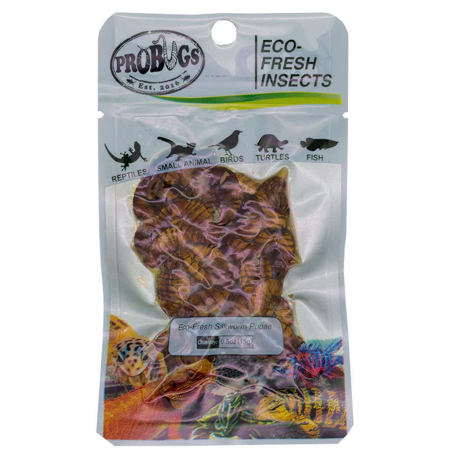 ProBugs Eco Fresh Silkworm pupae, 15g