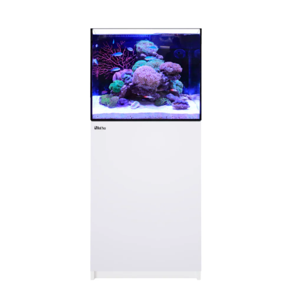 Red Sea REEFER 170 G3 Deluxe - Image 2
