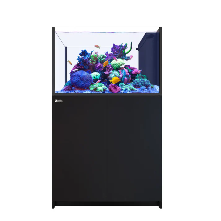 Red Sea REEFER Peninsula 350 G3