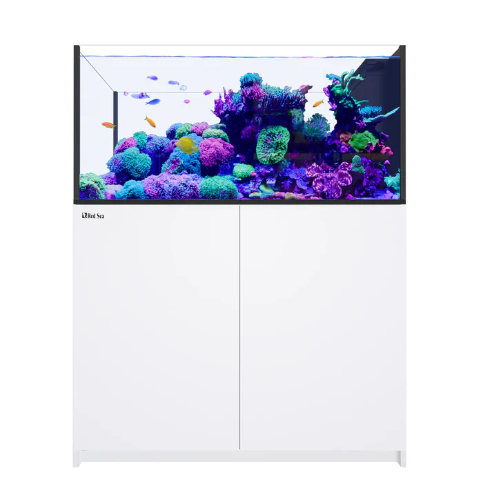 Red Sea REEFER Peninsula 500 G3 - Image 2