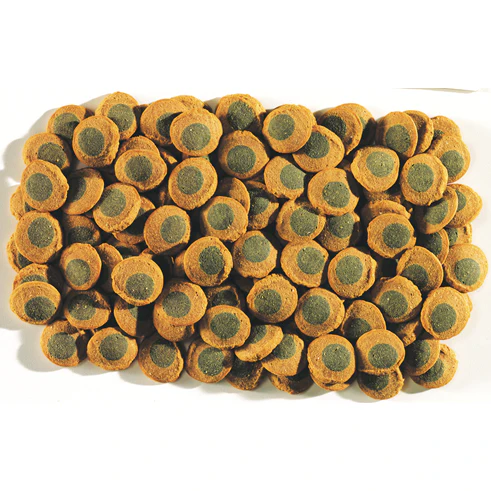 Tetra Pleco Spirulina Wafers 42g - Image 2