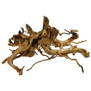 Desert Fingerwood 30-40cm Single Piece