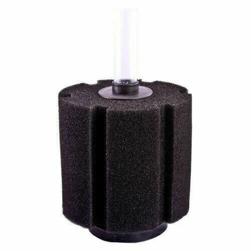 Sponge Filters Round - Image 8